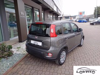 FIAT Panda 1.0 FireFly S&S Hybrid 7