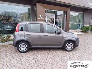 FIAT Panda 1.0 FireFly S&S Hybrid 8